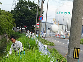 松原小学校PTA様と合同での草刈り　大分伸びてます