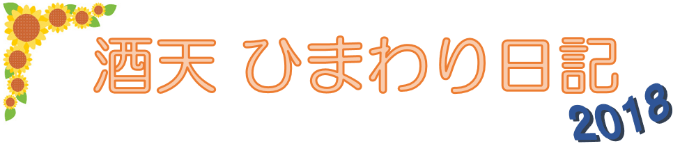 ひまわり日記2018