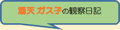 酒天　ガス子の観察日記