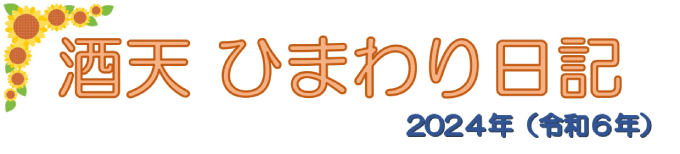 ひまわり日記2024（令和6年）