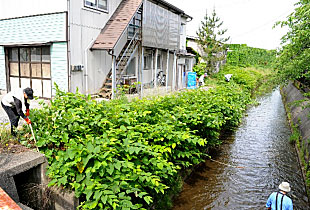 法面の生い茂った草を刈る人