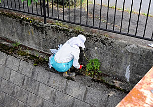 コンクリートの隙間の草を刈る人