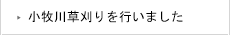 小牧川草刈りを行いました