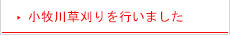 小牧川草刈りを行いました